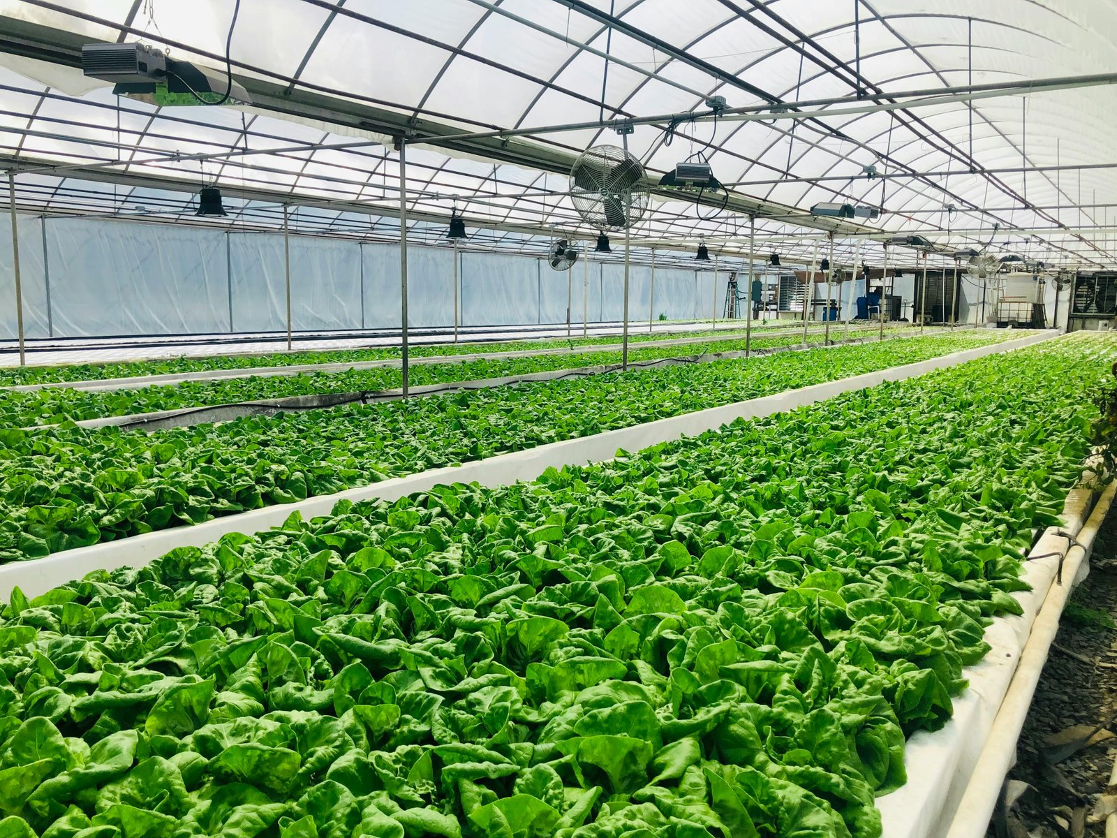 Automated Farm